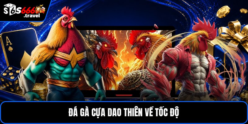 Đá gà cựa dao thiên về tốc độ