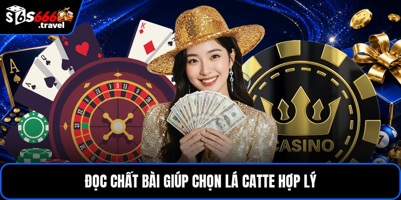 Đọc chất bài giúp chọn lá Catte hợp lý